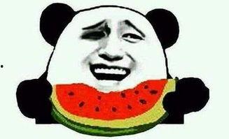 娱乐吃瓜君遛鸟大师,遛鸟大师的传奇人生  第2张