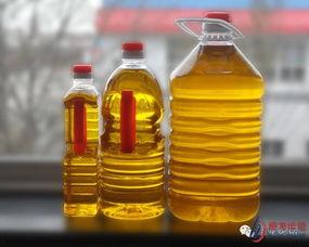 劣质食用油爆料标准最新,最新爆料标准曝光，食品安全警钟长鸣  第1张